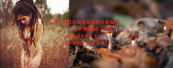 MDMA Кукмор
