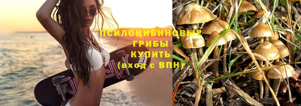 стафф Красноперекопск