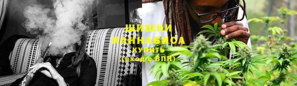 прущие крисы Кулебаки