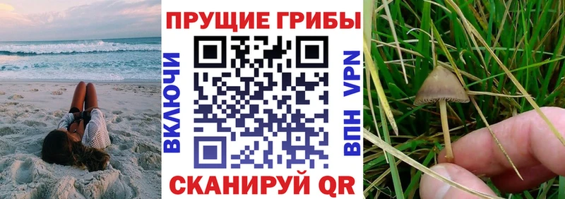 даркнет сайт Минусинск Псилоцибиновые грибы прущие грибы